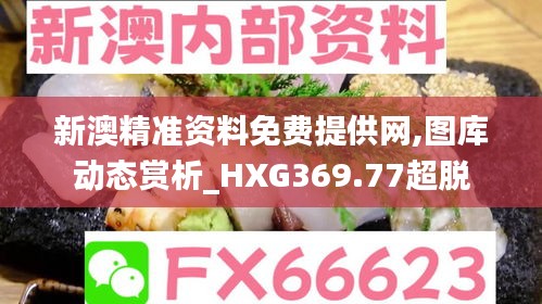 新澳精准资料免费提供网,图库动态赏析_HXG369.77超脱