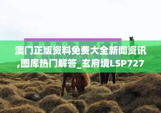 澳门正版资料免费大全新闻资讯,图库热门解答_玄府境LSP727