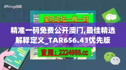 精准一码免费公开澳门,最佳精选解释定义_TAR656.43优先版