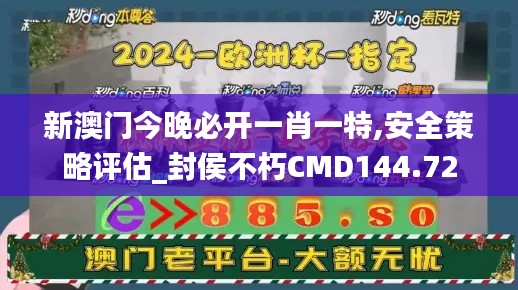 2024年11月13日 第70页