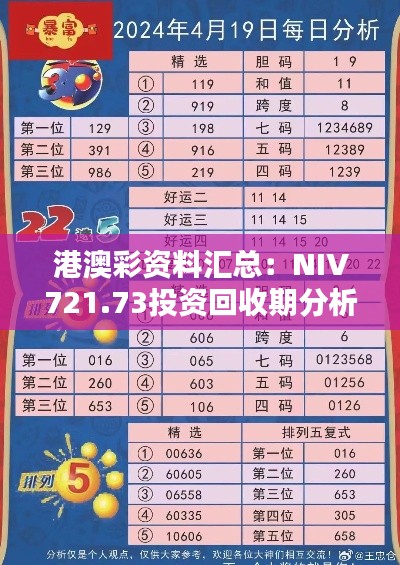 港澳彩资料汇总：NIV721.73投资回收期分析