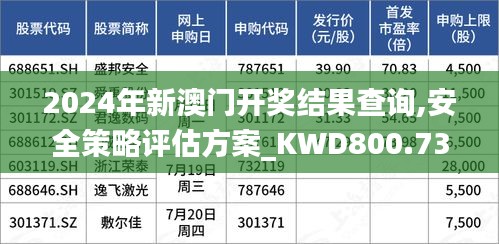 2024年新澳门开奖结果查询,安全策略评估方案_KWD800.73四象境