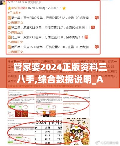 管家婆2024正版资料三八手,综合数据说明_ACF776.16仙帝