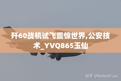 歼60战机试飞震惊世界,公安技术_YVQ865玉仙