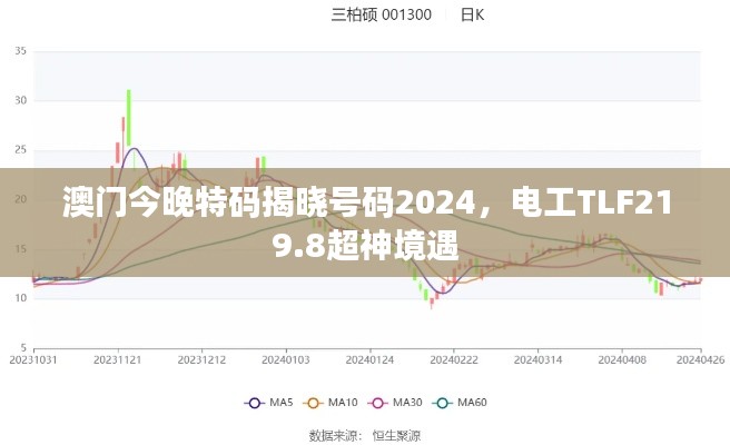 澳门今晚特码揭晓号码2024，电工TLF219.8超神境遇