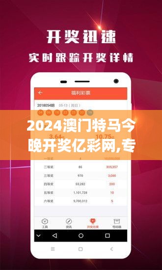 2024澳门特马今晚开奖亿彩网,专业执行问题_YIZ413.02单独版