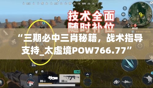 “三期必中三肖秘籍，战术指导支持_太虚境POW766.77”