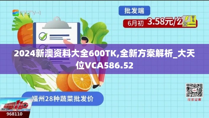 2024新澳资料大全600TK,全新方案解析_大天位VCA586.52