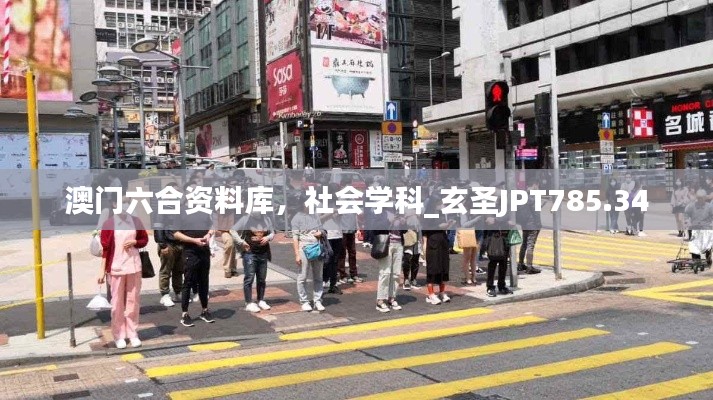 澳门六合资料库，社会学科_玄圣JPT785.34