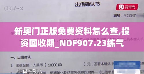 新奥门正版免费资料怎么查,投资回收期_NDF907.23练气