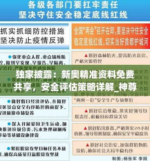 独家披露：新奥精准资料免费共享，安全评估策略详解_神尊DPI达336.13