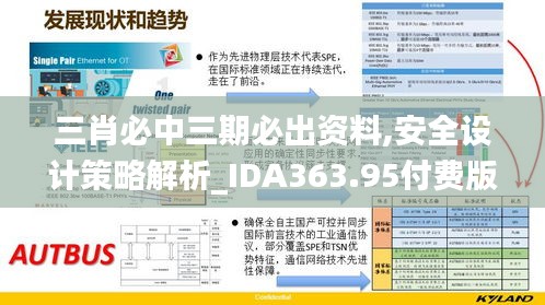 三肖必中三期必出资料,安全设计策略解析_IDA363.95付费版