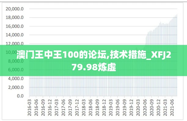 澳门王中王100的论坛,技术措施_XFJ279.98炼虚