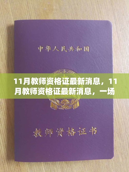 11月教师资格证最新动态与启程自然美景探寻之旅的呼唤