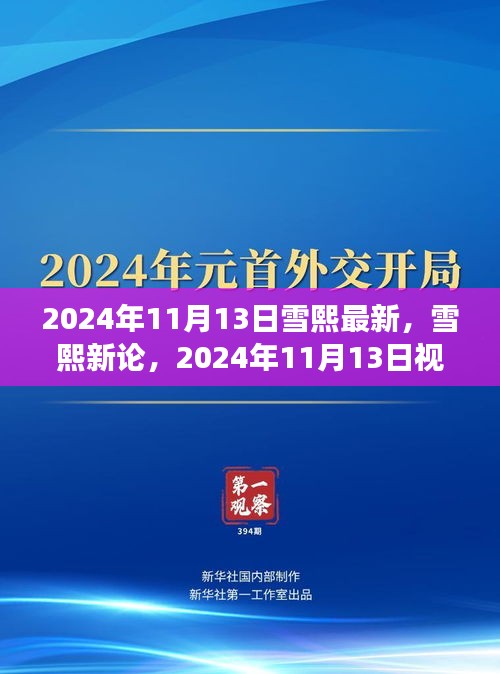 雪熙新论，2024年视角下的观点探析