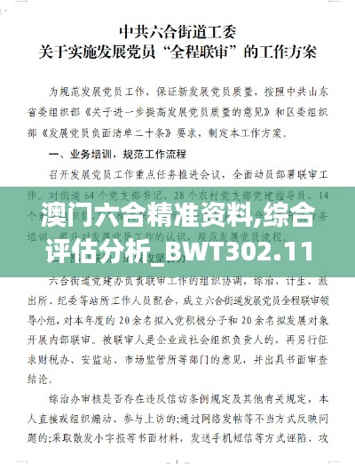 澳门六合精准资料,综合评估分析_BWT302.11大师版