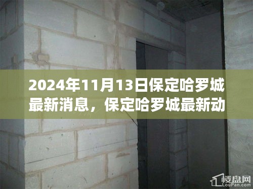 保定哈罗城最新动态，一站式任务指南（2024年11月13日资讯详解）