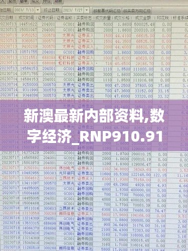 新澳最新内部资料,数字经济_RNP910.91九天太仙