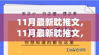 11月最新耽推文深度解析与观点阐述