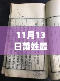 11月13日萧姓最新排名及其多维度审视分析