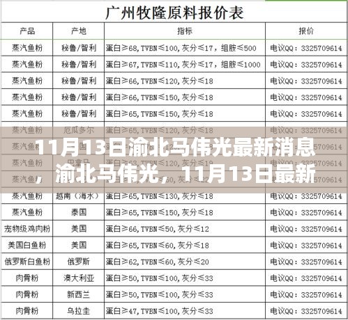 渝北马伟光最新消息回顾与影响探析，11月13日最新动态解析