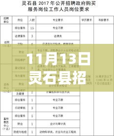 灵石县最新招聘信息解析与个人立场探讨（11月13日）