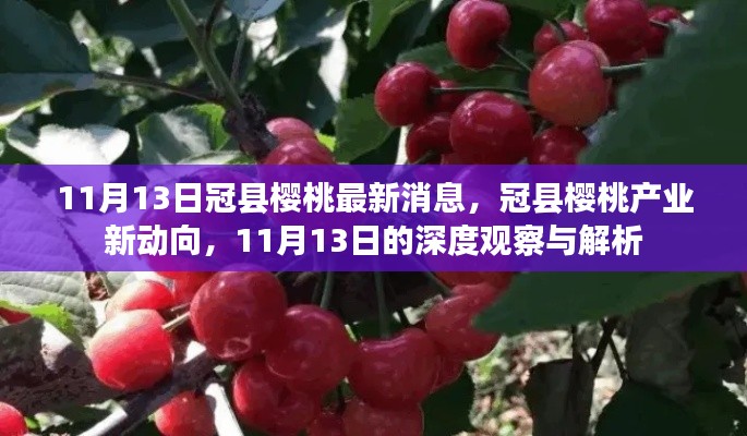 冠县樱桃产业新动向深度观察，最新消息解析