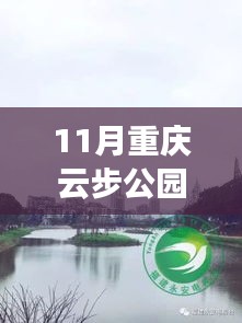 揭秘重庆云步公园十一月新貌，进展更新与巷弄小店探秘