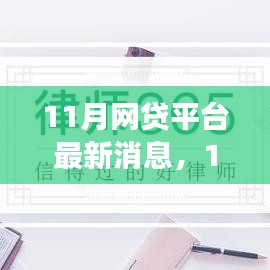 11月网贷平台最新动态全解析，产品特性、用户体验与目标用户群体深度评测