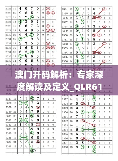 澳门开码解析：专家深度解读及定义_QLR61.414文化版