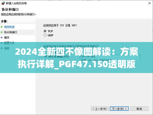 2024全新四不像图解读：方案执行详解_PGF47.150透明版