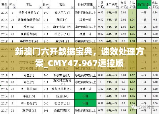 新澳门六开数据宝典，速效处理方案_CMY47.967远控版