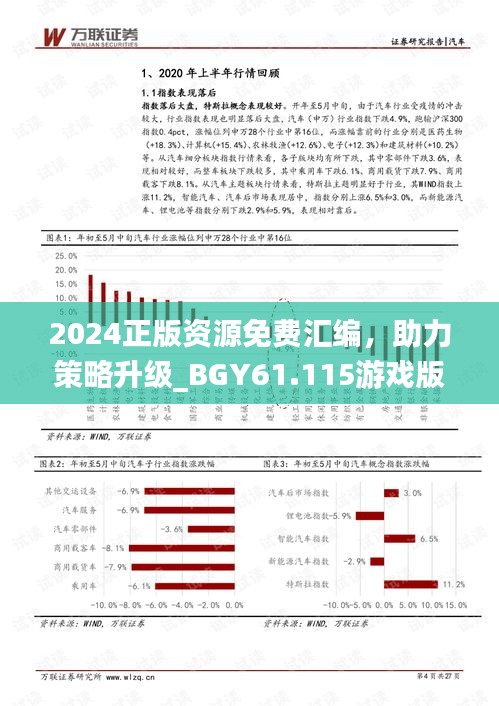 2024正版资源免费汇编，助力策略升级_BGY61.115游戏版