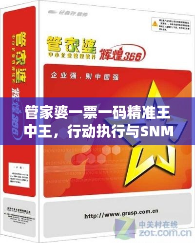 管家婆一票一码精准王中王，行动执行与SNM62.115护眼版攻略