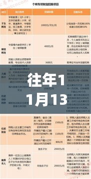 往年11月13日个税最新模板全解析，小红书财税秘籍揭秘