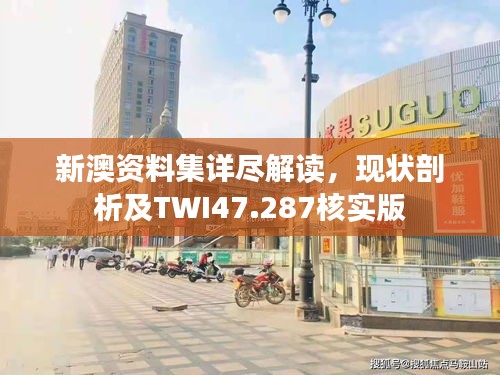 新澳资料集详尽解读，现状剖析及TWI47.287核实版