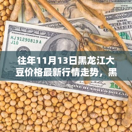 黑龙江隐秘小巷中的大豆传奇，揭秘大豆行情走势与最新价格揭秘日动态