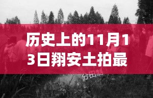 揭秘历史上的十一月十三日，翔安土拍风云再起，最新消息一览