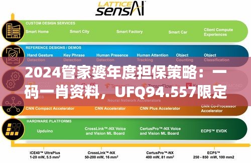 2024管家婆年度担保策略：一码一肖资料，UFQ94.557限定版