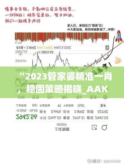 “2023管家婆精准一肖，稳固策略揭晓_AAK抓拍版77.814”