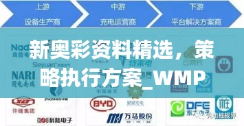 新奥彩资料精选，策略执行方案_WMP77.164特藏版