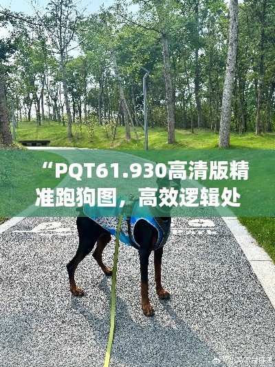 “PQT61.930高清版精准跑狗图，高效逻辑处理之选”