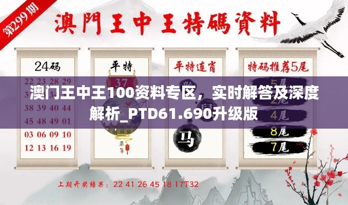 澳门王中王100资料专区，实时解答及深度解析_PTD61.690升级版