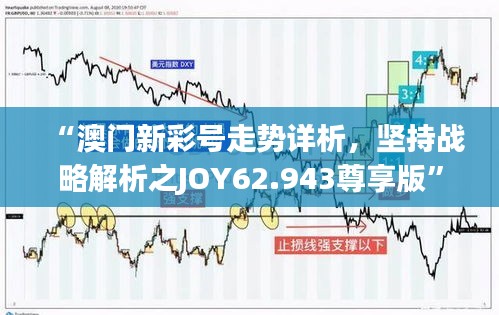 “澳门新彩号走势详析，坚持战略解析之JOY62.943尊享版”