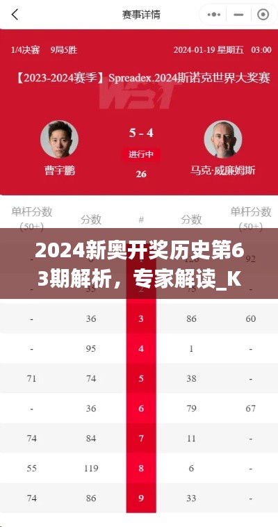 2024新奥开奖历史第63期解析，专家解读_KBK94.582智巧版