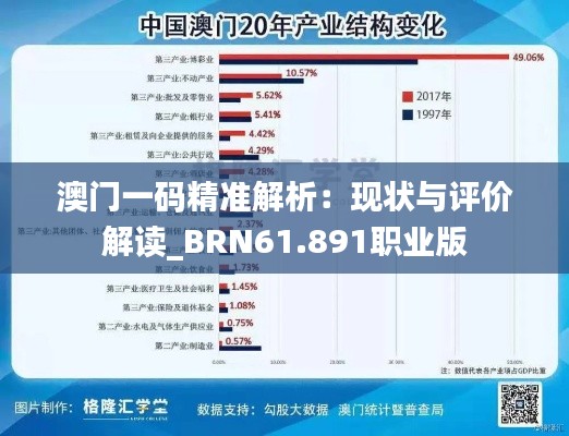 澳门一码精准解析：现状与评价解读_BRN61.891职业版