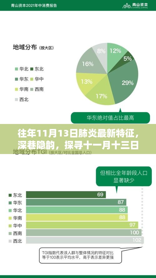 探寻十一月十三日肺炎新特征与独特风味小店——深巷隐韵