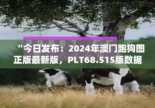 “今日发布：2024年澳门跑狗图正版最新版，PLT68.515版数据管理策略”