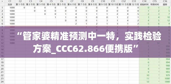 “管家婆精准预测中一特，实践检验方案_CCC62.866便携版”