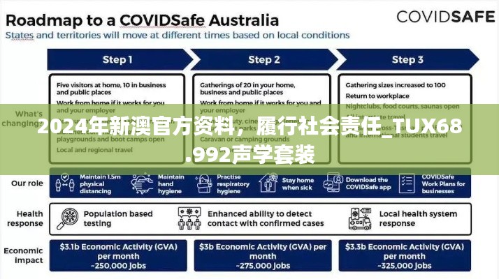 2024年新澳官方资料，履行社会责任_TUX68.992声学套装